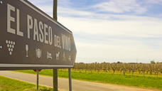 Uruguay's famous Wine Walk symbolizes the nation's rich wine culture, now reflected in record export numbers in 2024. (Image: Toniflap / stock.adobe.com)